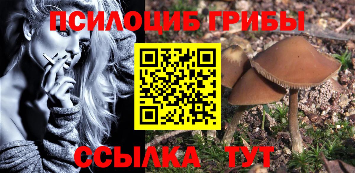 Псилоцибиновые грибы прущие грибы  Псилоцибиновые грибы Magic Shrooms  Вход с VPN  Омск 