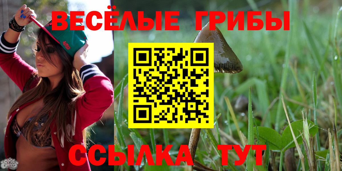 Галлюциногенные грибы мухоморы Омск